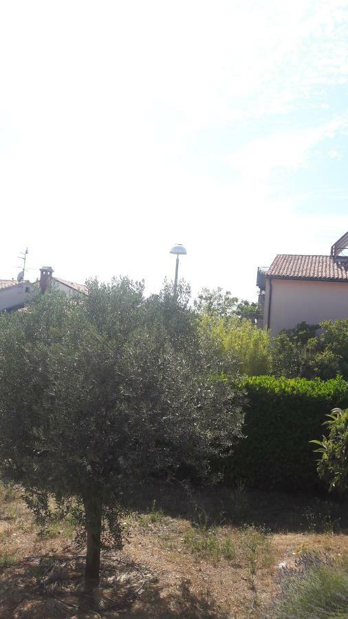 Apartment Radovan ポレッチ エクステリア 写真